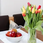 Lejlighed Kohlweg Graz