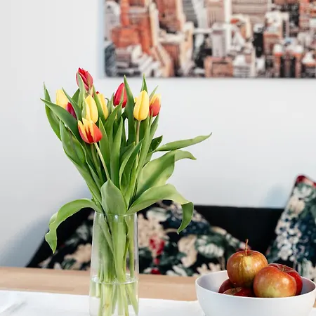 Apartment Kohlweg - Free Parking, Garden And Air Conditioning