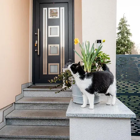 Apartment Kohlweg - Free Parking, Garden And Air Conditioning *