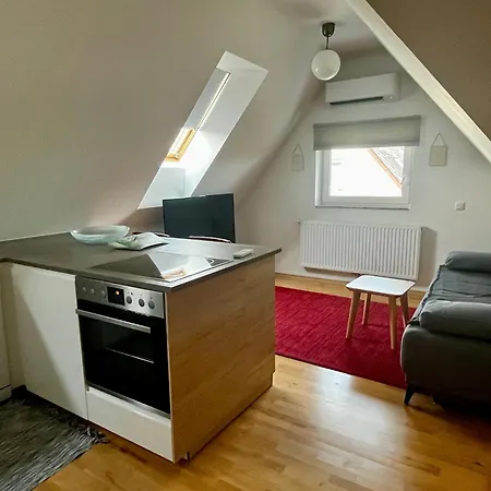 Kohlweg - Free Parking, Garden And Air Conditioning Apartment Graz