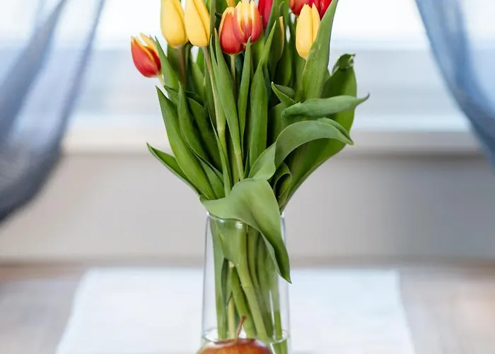 Appartement Kohlweg *